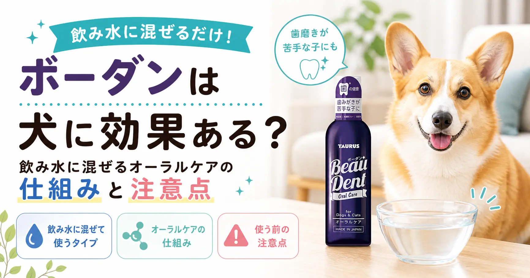 ボーダンは犬に効果があるかを解説する記事のアイキャッチ画像