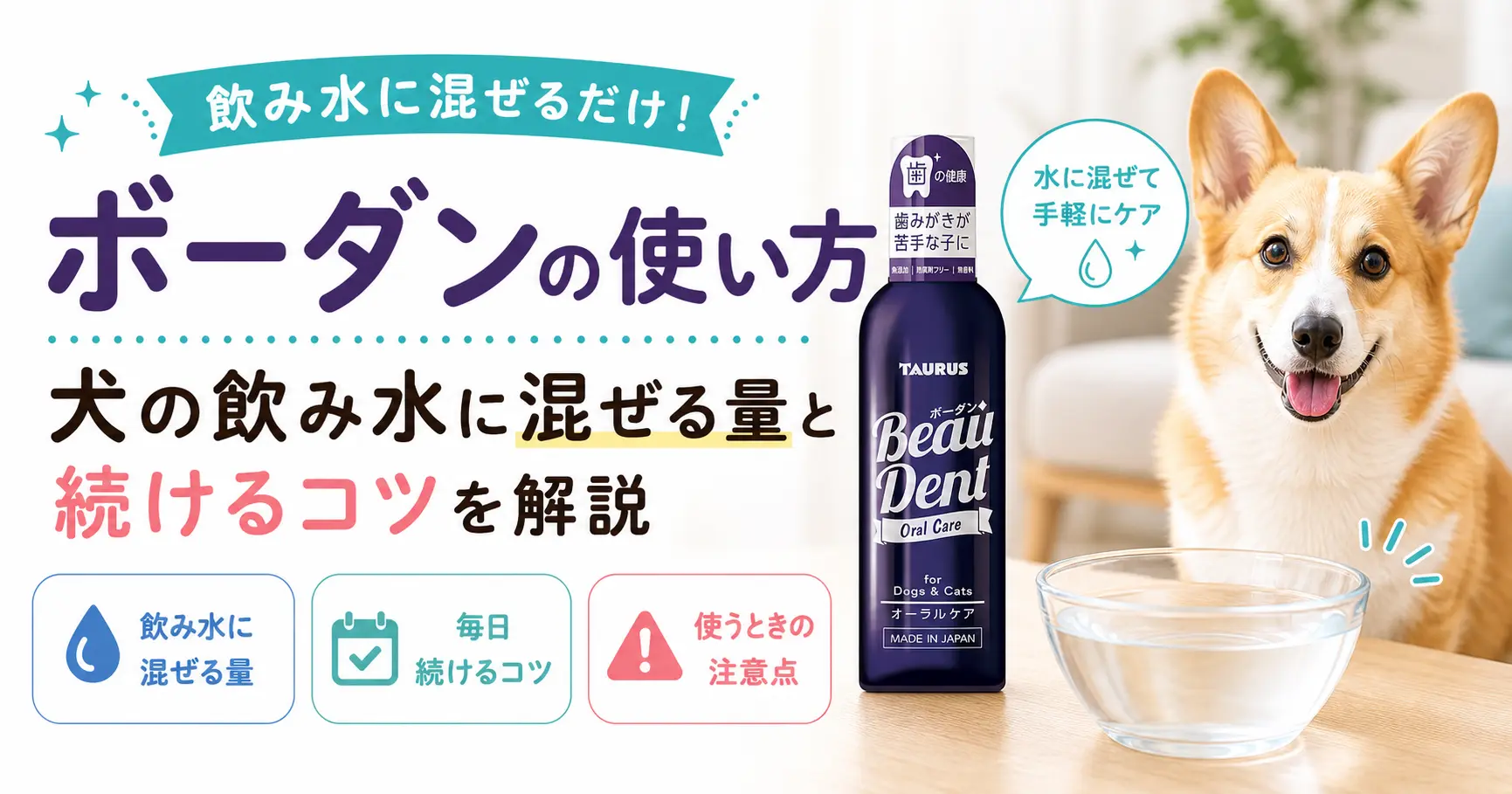 ボーダンの使い方を解説する記事のアイキャッチ画像