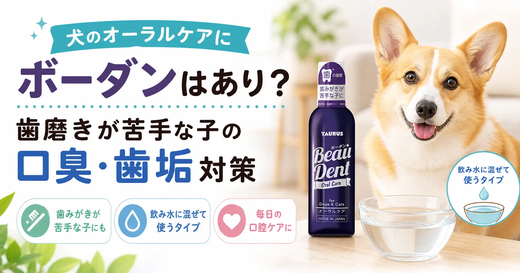 犬のオーラルケアにボーダンを使う方法を解説する記事のアイキャッチ画像