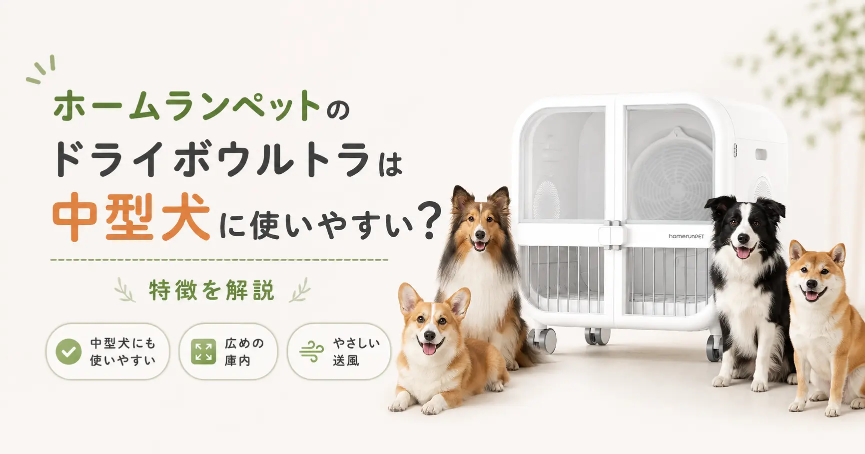 ホームランペットのドライボウルトラは中型犬に使いやすいのかに関する記事のアイキャッチ画像