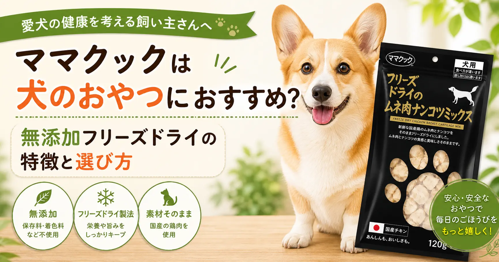 ママクックの犬用フリーズドライおやつの特徴に関する記事のアイキャッチ画像